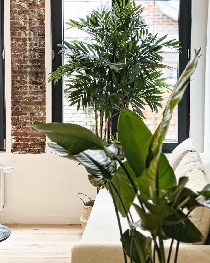 Gigi Home'S Antwerp Luaran gambar